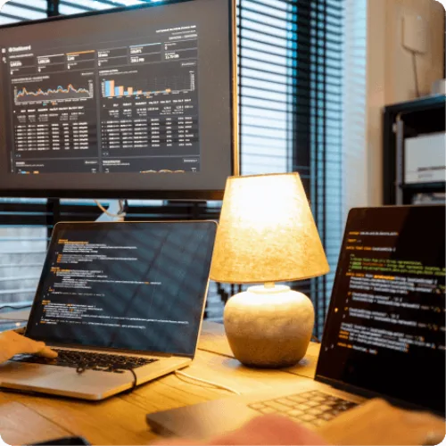 Web Development